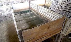 Cara agar kandang bebek tidak bau i desain dan bahan i bebek pedaging sistem kering i. Cara Ternak Bebek Pedaging Agar Keuntungan Naik Sebanyak 455