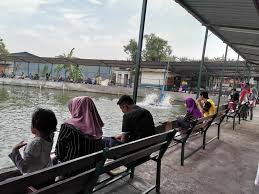 Pernahkah anda tanya dimana semua tempat menarik di selangor terletak? Alam Jaya Fishing Kolam Memancing Udang Galah æ³°å›½è™¾ Beranda Facebook