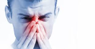 How to use nose in a sentence. The Most Common Nose Disorders Global Care Hospital