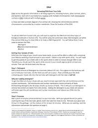To carry out these functions, dna sequences must be converted into messages that can be used to produce proteins, which are the complex molecules that do most of the work in our bodies. Dna Extraction Lab