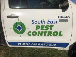 A thorough vacuum of your bedroom, bed, bedframe, carpets, bedside tables, luggage, sofas, lounge, mattress and any other areas that are. South East Pest Control Pest Control Mt Gambier