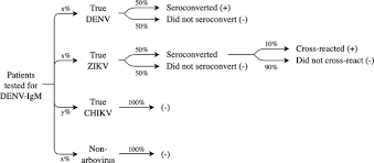 Spatiotemporal Transmission Dynamics Of Co Circulating Dengue Zika And Chikungunya Viruses In Fortaleza Brazil 2011 2017