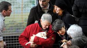 Le meilleur ami de l'homme, le chien, sera à l'honneur Au Contact Des Eleveurs Au Salon Du Chiot