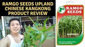 Maybe you would like to learn more about one of these? Growing Kangkong In Container Ramgo Seeds Upland Chinese Kangkong Review Youtube