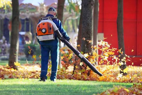 Seasonal yard clean up with leaf and debris clearance in Foots Cray