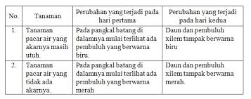 This year international class was held on saturday, 12 th may 201 8 at 10:00 a.m. Contoh Soal Materi Teks Laporan Hasil Percobaan Kelas Ix Pelajaran Bahasa Indonesia Di Jari Kamu