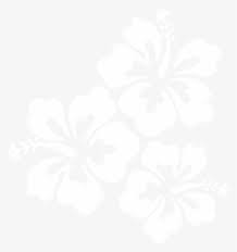 Please to search on seekpng.com. Flower S Png Transparent Flower S Png Image Free Download Page 4 Pngkey
