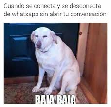 Vaya Vaya Memes En Espanol Memes Memes Funny Faces