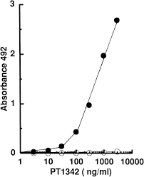 953 x 1300 · jpeg. Threonine 1342 In Human Topoisomerase Iia Is Phosphorylated Throughout The Cell Cycle Journal Of Biological Chemistry