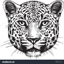14 cheetah drawing ideas cheetah drawing easy | free download on clipartmag from clipartmag.com everything on this cartoon animal was designed to end up with a drawing technique that is easy to master and accessible. Giraffe Face Black And White Google Search Leopard Tattoos Leopard Drawing Leopard Face