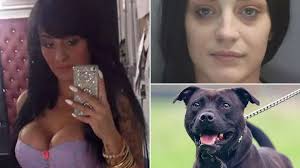 Charlotte Anson: Porn star jailed after her dog savaged two women has  sentence reduced on appeal - Mirror Online