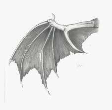 Drawings Of Bat Wings Hd Png Download Kindpng Bat wing development , devil wings png clipart. drawings of bat wings hd png download