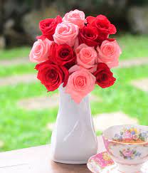 Dreamstime is the world`s largest stock photography community. Buy Roses Berry