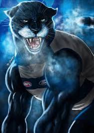 See more ideas about geelong cats, geelong, cats. 119 Z Afl Go The Geelong Cats Ideas Geelong Cats Afl Geelong