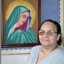 Narges Samy Michail Obituary