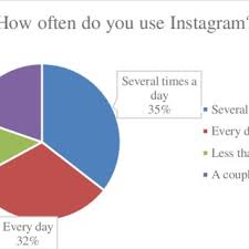 Pdf E Business Through Social Media A Quantitative Survey Case Study Instagram