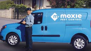 Pest Control St. Louis | Moxie Pest Control