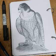صقر طور فنك رسامين العرب رسمتي talentshowntell drawing لوحة رسم رسومات كلنا رسامين sketchbook sketch دعم الرسامين foo drawings art female sketch