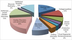 Custom Panel Design The Pie Chart Illustrates The Percent