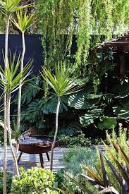 20 Ideas Para Crear Tu Selva Urbana Con Pocos Metros Cuadrados Beautiful Gardens City Garden Townhouse Garden