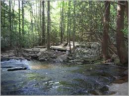 Carrick Creek Half Mile From Lodge State Park Cabins Park Lodge Table Rock State Park