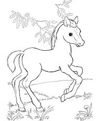 Free Printable Horse Coloring Pages For Kids Horse Coloring Books Farm Animal Coloring Pages Horse Coloring Pages