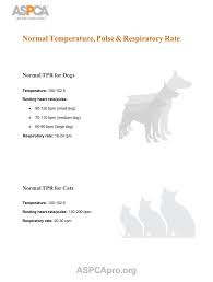 Normal Vitals Dog Respiratory Rate Dog Temperature Medium Dogs