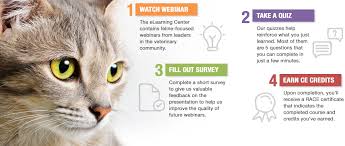 These courses are for professional development and will not appear on an academic transcript. Courses American Association Of Feline Practitioners