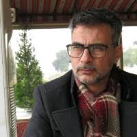 100+ 'Basil' profiles