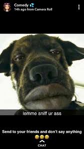 Funny, but of course, this same technique could be used by people around you to drop a lemon party or a goatse.cx on your screen luckily, configuring airdrop to be more secure is pretty easy: The Best Take The Pic And Airdrop Memes Memedroid