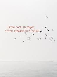 Bird Bird Bird Is The Word Song Birds Born In Cages Think Freedom Is A Crime Crime Quote Woman Quotes Amazing Quotes