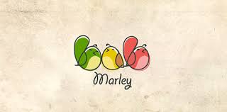 Image result for three little birds bob marley
