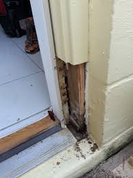 The home mender, dustin luby, shows us how to replace a rotted garage door jamb and weatherstripping. During Outside Door Jamb Being Repaired Removed The Old Dry Rot Exterior Door Frame Garage Door Framing Door Frame Repair