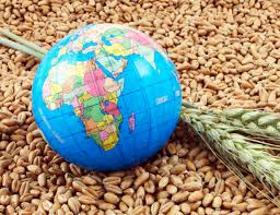 Грядет ли глобальный продовольственный кризис и как он повлияет на страны  СНГ?