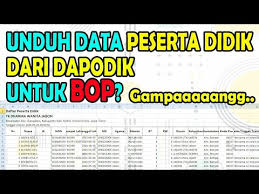 Ada beberapa cara untuk mengecek data yang sudah dientri dan dikirim oleh operator dapodik sekolah apakah sudah terkirim atau sudah diterima oleh server pusat dapodik. Cara Unduh Data Peserta Didik Dari Dapodik Youtube