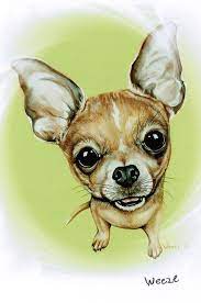 Chihuahua Art Chihuahua Print Pet Portrait Dogs By Artbyweeze Perros En Caricatura Perros Tiernos Dibujos Dibujo De Perro