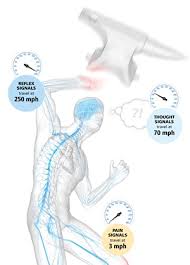 This will show you how your body responds to exercise, which as your body rebuilds these stores, it takes sugar from your blood. Our Bodies Velocities By The Numbers Discover Magazine