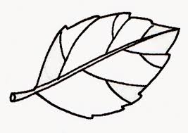 Gambar sketsa buah apel mania yakni mewarnai coloringpages. Kumpulan Contoh Gambar Sketsa Daun Apel Informasi Masa Kini