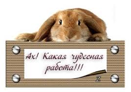 Картинки по запросу светлана ямолкина