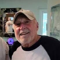 Robert Rabinovitz Obituary