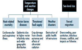 Chapter 53 Environmental Health Hazards