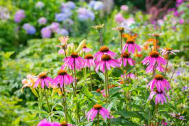 It blooms from midsummer to early fall, attracting butterflies and hummingbirds. Easy Perennial Plants For A Low Maintenance Garden The Old Farmer S Almanac