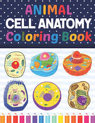 Coloring seems like a common and simple activity, but it is crucial in the healthy growth of children. Amazon In Buy Animal Cell Anatomy Coloring Book Introduction To Animal Cell Anatomy Workbook Relax Design For Anatomy Students Younger Kids For Learn Anatomy Of Girls Animal Cell Coloring Book For