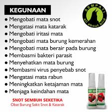 Untuk kucing yang mengalami sakit mata sebaiknya pisahkanlah dengan kucing lain supaya tidak menular. Snot Sembuh Seketika Merek Sempati Obat Sakit Mata Katarak Bengkak Berair Burung Murai Lovebird Dll Shopee Indonesia