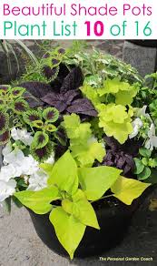 16 Colorful Shade Garden Pots Plant Lists In 2020 Garden Plant Pots Shade Plants Container Shade Garden