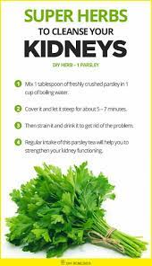 Early Signs Of Kidney Disease Kidney Health Natural Diuretic Herbs