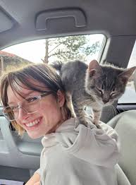 This kitten showed up at our house. Is anybody know whose it is?