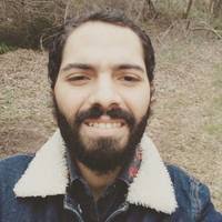 PDF) ¿Tenemos libre albedrío?