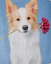 The Best Way To Find Great Cute Cool Funny Dog Names For Your New Puppy Or Your Newly Adopted Dog Dogs Cutedogs Cutepuppies Furbaby Paws Dogworld Dog