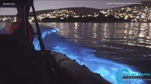 This is because the algae is sometimes bioluminescent. What Is Making The Ocean Light Up At Night Cbs8 Com
